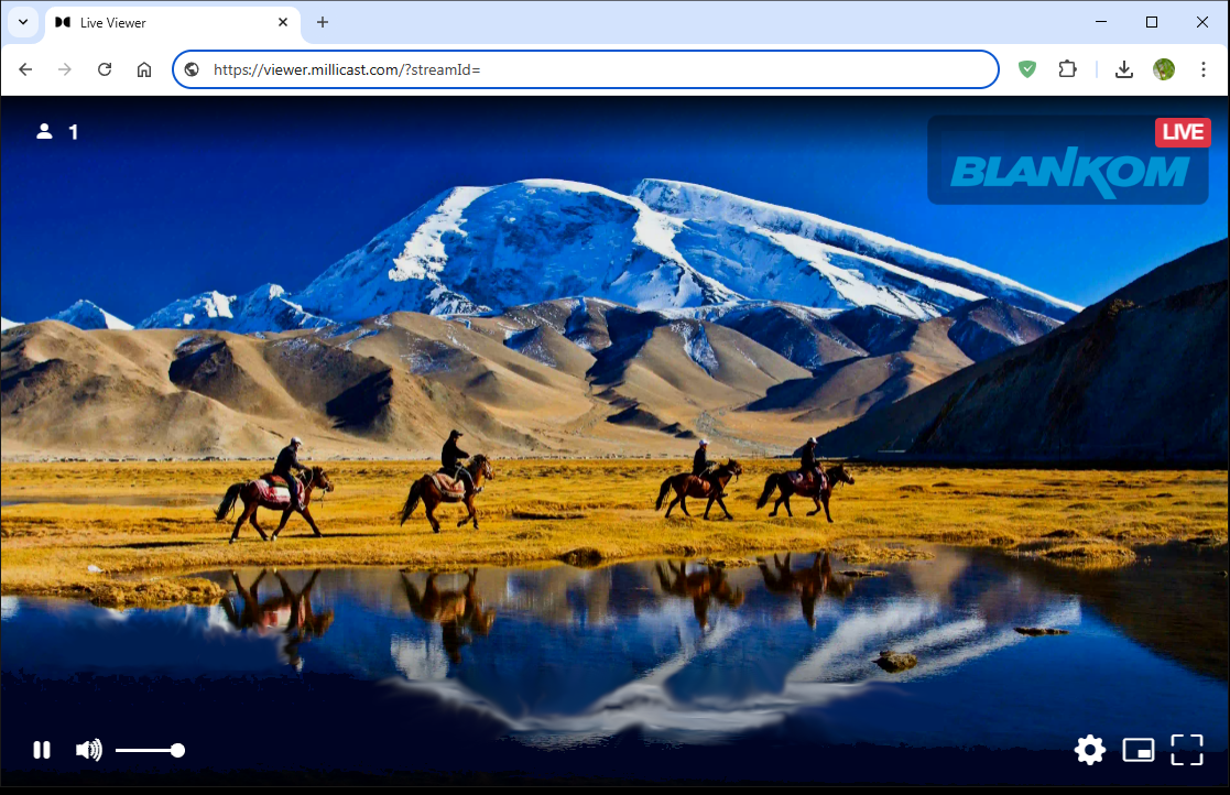 BLANKOM WHIP Webrtc Video Encoder works with millicast.png